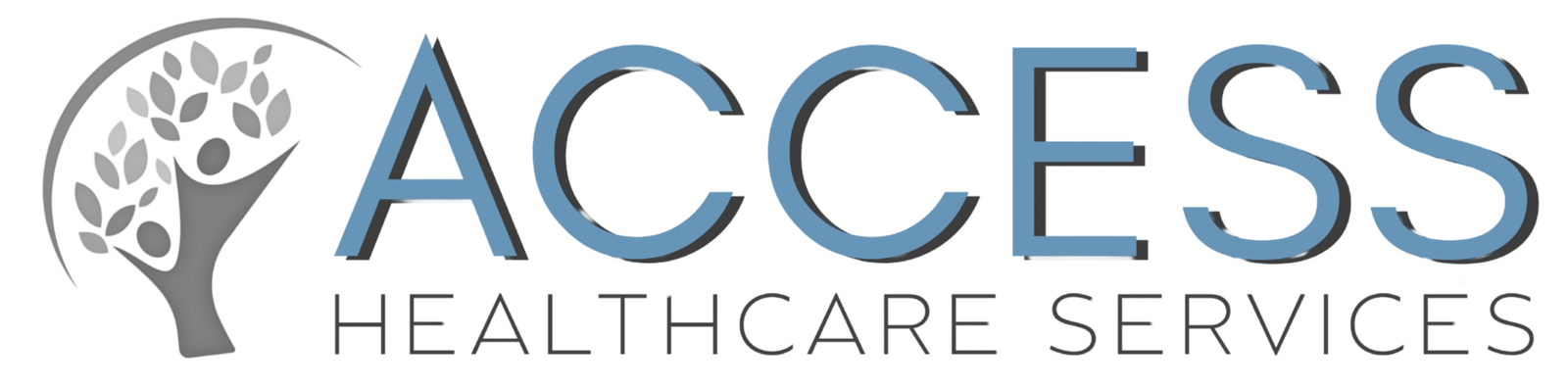Access Healthcare Services